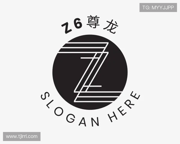 了解Z6尊龙